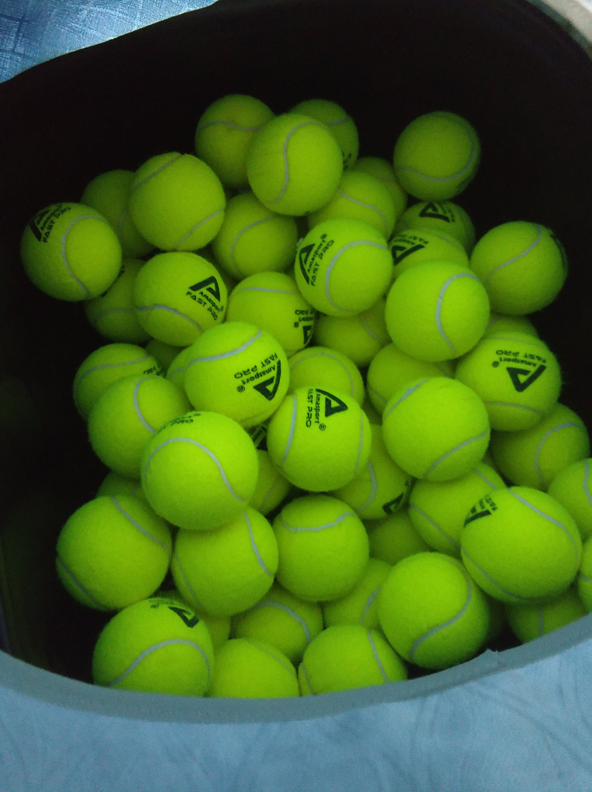 励了无数在 励了无数在